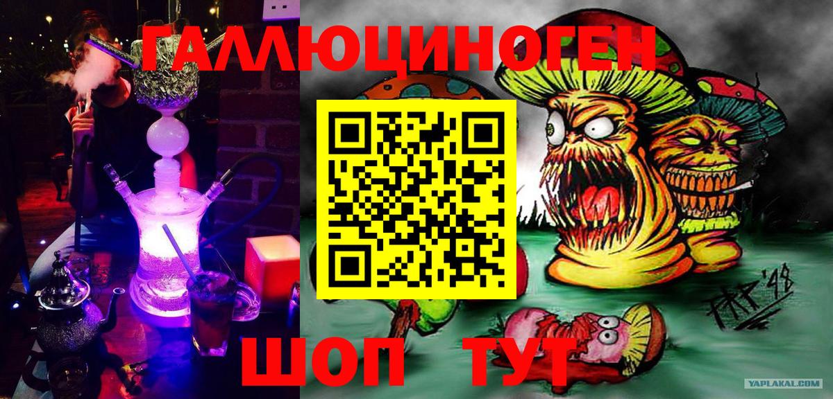 Артём  Галлюциногенные грибы Cubensis  Вход с VPN 