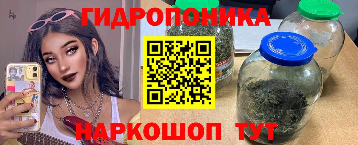 Бошки Шишки Amnesia  Вход с VPN  Артём  Конопля марихуана  Бошки марихуана Bruce Banner 